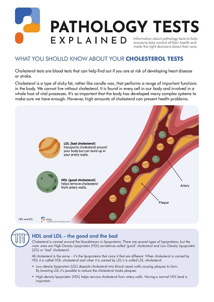 Cholesterol